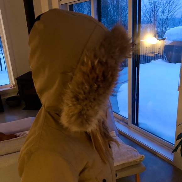 Canada goose winter jacket - Picture 2 of 5